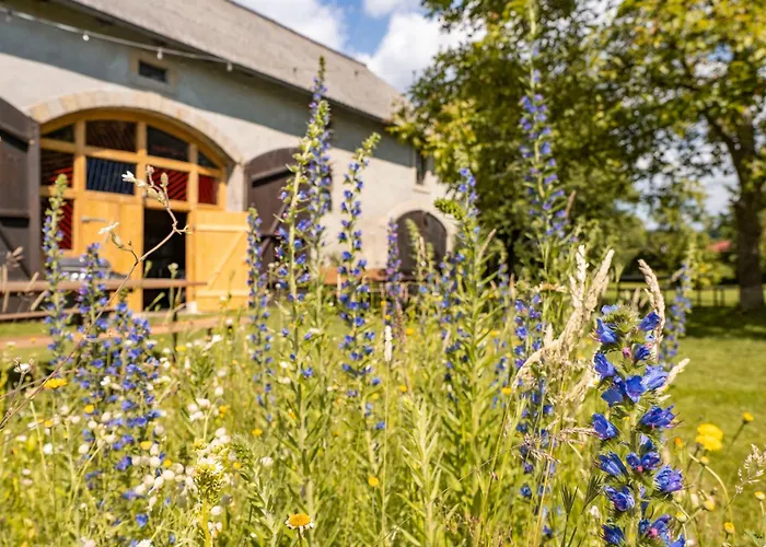 Hinterland Hostel